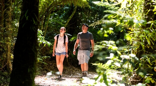 Eco island fights back