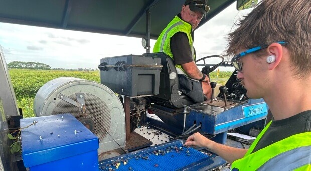 Shaking up berry harvests